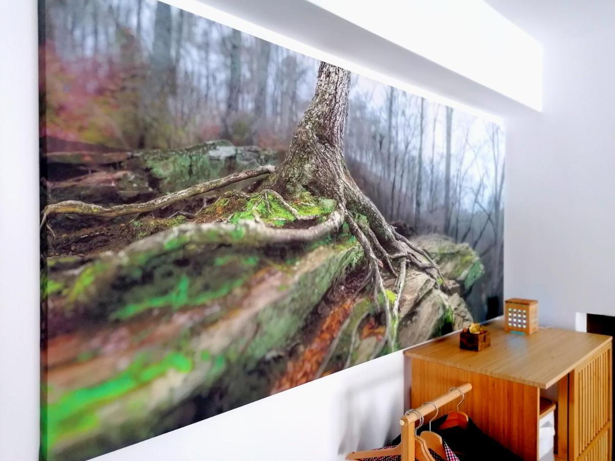 Wooden Touch Studio Braşov Exteriör bild