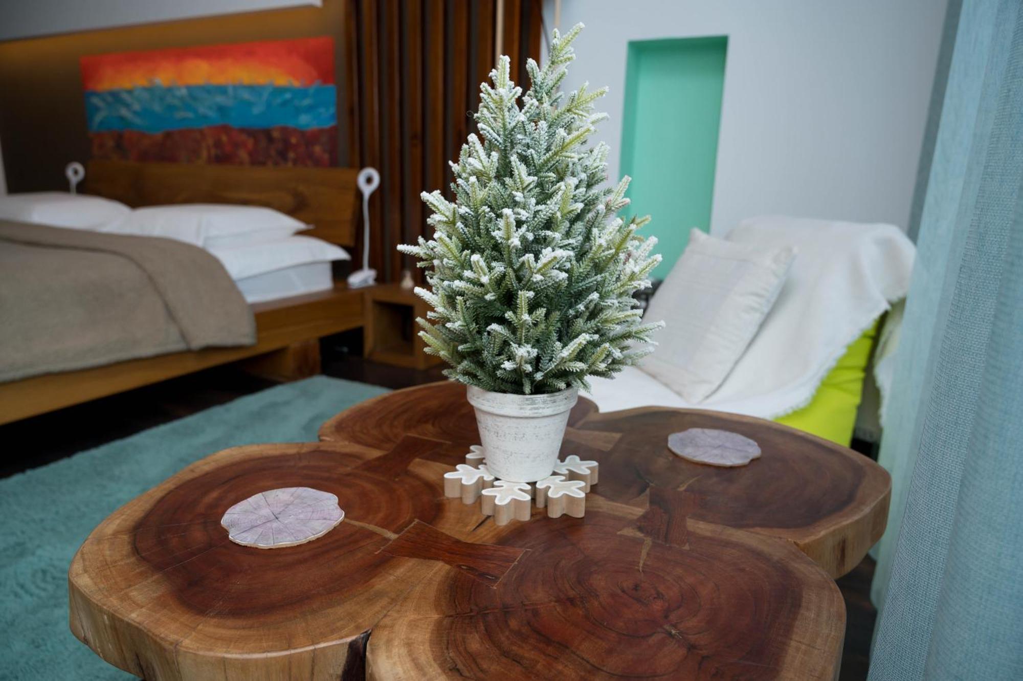 Wooden Touch Studio Braşov Exteriör bild